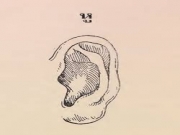 ดูโหวงเฮ้ง หู