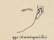 โหวงเฮ้ง ตำแหน่งของหู