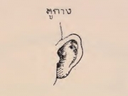 โหวงเฮ้ง หูกาง