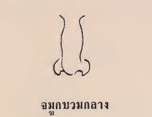 จมูกบวมกลาง