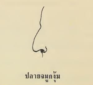 โหวงเฮ้ง จมูก