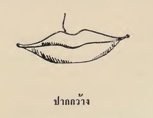 ปากกว้าง