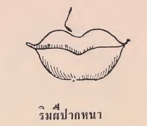 โหวงเฮ้ง ริมฝีปากหนา